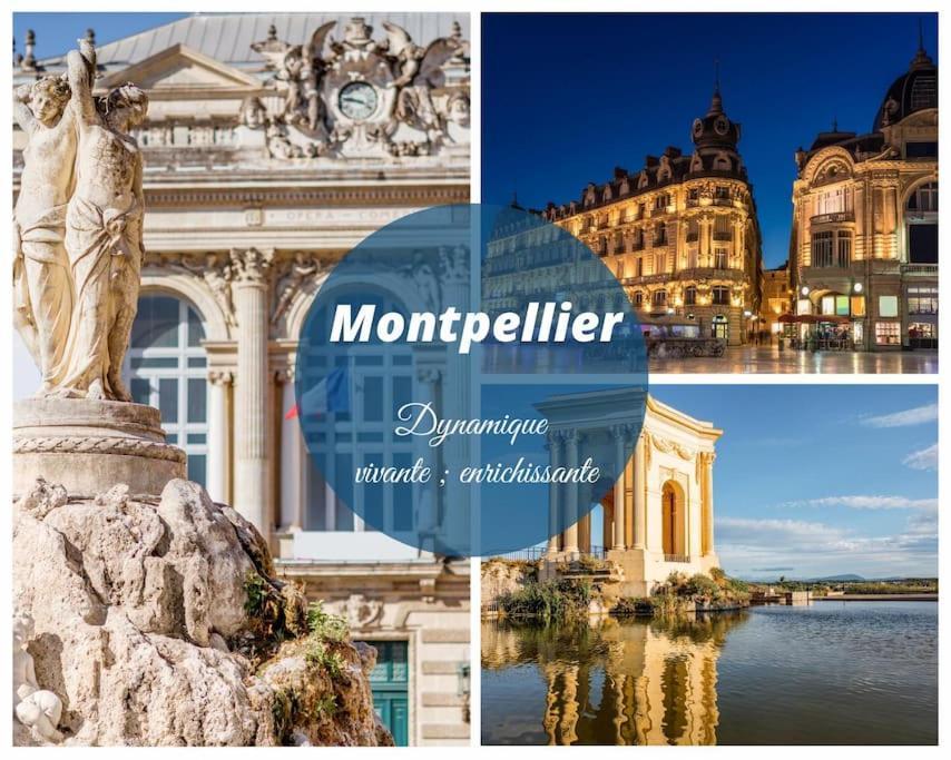 Le Nautilus Proche Plage Clim Parking Prive Wifi Proche Montpellier Carnon-Plage Luaran gambar